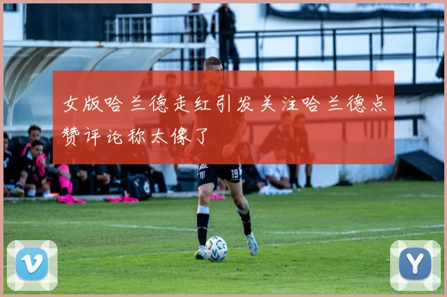 女版哈兰德走红引发关注哈兰德点赞评论称太像了